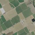 Person in medical distress near Eucalyptus Avenue, Patterson