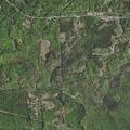 81-year-old woman found disoriented outside at (number withheld) Stallings Ln