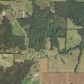 Person having diabetic emergency near Lawrence Lane in Ozark