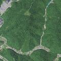 Intoxicated elderly woman found lying in yard