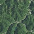 Reported domestic fight on Belcher Fork Road