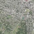 Person having allergic reaction at Parkwood Avenue
