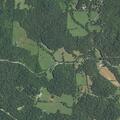 Person injured near Madison Street in Fredericktown