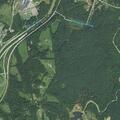 Man with ruptured ankle vein near Old Stage Road