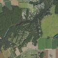 Elderly woman falls and needs lifting assistance in Hardyville