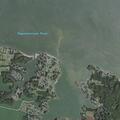 Person fell on back at dock in Deltaville