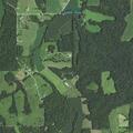 Woman suffers seizure near County Road 506