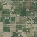 Reported verbal family dispute near East Redwood Road