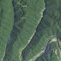 Illegal burn reported at Shannon Mill Creek