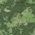 Verbal dispute over four-wheelers at Forest Lane home