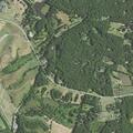 84-year-old woman sick near River Road West in The Forest