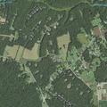 Person sick near Lady Elizabeth Lane and Laurel Lane