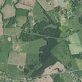 Grass fire reported on Hardinsburg Road