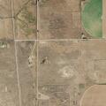 Loose dog injures goats and chases horses in Mosca