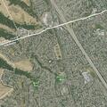 Cat rescued from storm drain on Pajaro Way