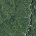 65-year-old woman with possible broken foot on trail