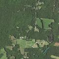 63-year-old woman with heart issues near Goochland