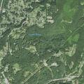 Tree blocks both lanes on Pemberton Road
