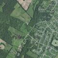Domestic disturbance reported near Sierra Dr home