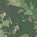 Person suffers fall near Pouncey Tract Road in Station 9 district
