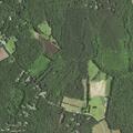 Person with abdominal pain near Cheney Creek Road
