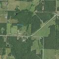 Cow on roadway near Highway 64 in Buffalo