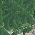 Runaway juvenile reported near Johnson Fork (West Liberty area)