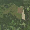 Dog kills ducks and chickens at rural property