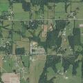 Dog bites 13-year-old boy on back in Farmington