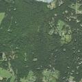 Person sick near Farmboro Road in Montpelier