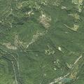 Runaway juvenile reported at Lilly Mountain Road