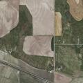 Loose brown horse reported near rural property