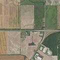 Dogs reported attacking animals on US Highway 50
