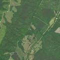 Person reported sick near Old Green Mountain Rd