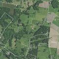 74-year-old woman fell and remained mostly immobile