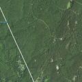 Tree blocks Gold Mine Lane in Schuyler