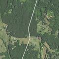 Person reported sick near Taylors Creek Road