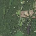 Person reporting chest pain near Scotchtown Road