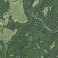 25-year-old male having mental breakdown at River Trail