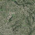 Elderly man passing out near Woodland Way in Piedmont