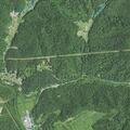 Runaway juvenile reported near Slab Fork