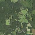 Person falls at Scotchtown Road, Beaverdam