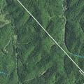 Tree blocking Holley Road near Tick Lick Road