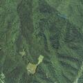 Tree blocks entire roadway on Lorenza Ridge Road