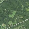 Tree on power line causes ground fire near poles
