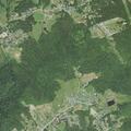 Reckless juveniles on four-wheeler near Bradley