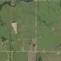 Loose cattle reported on northwest 30th Street