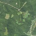 Officers respond to couple arguing on rural road