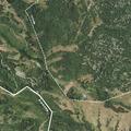 Vehicle accident at Tilden Steam Train