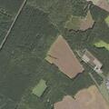 Person sick near Parks Farm Road in Temperanceville